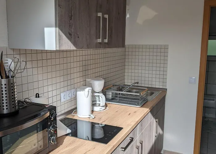 別荘 Blockhaeuser An Der Mueritz Ludorf